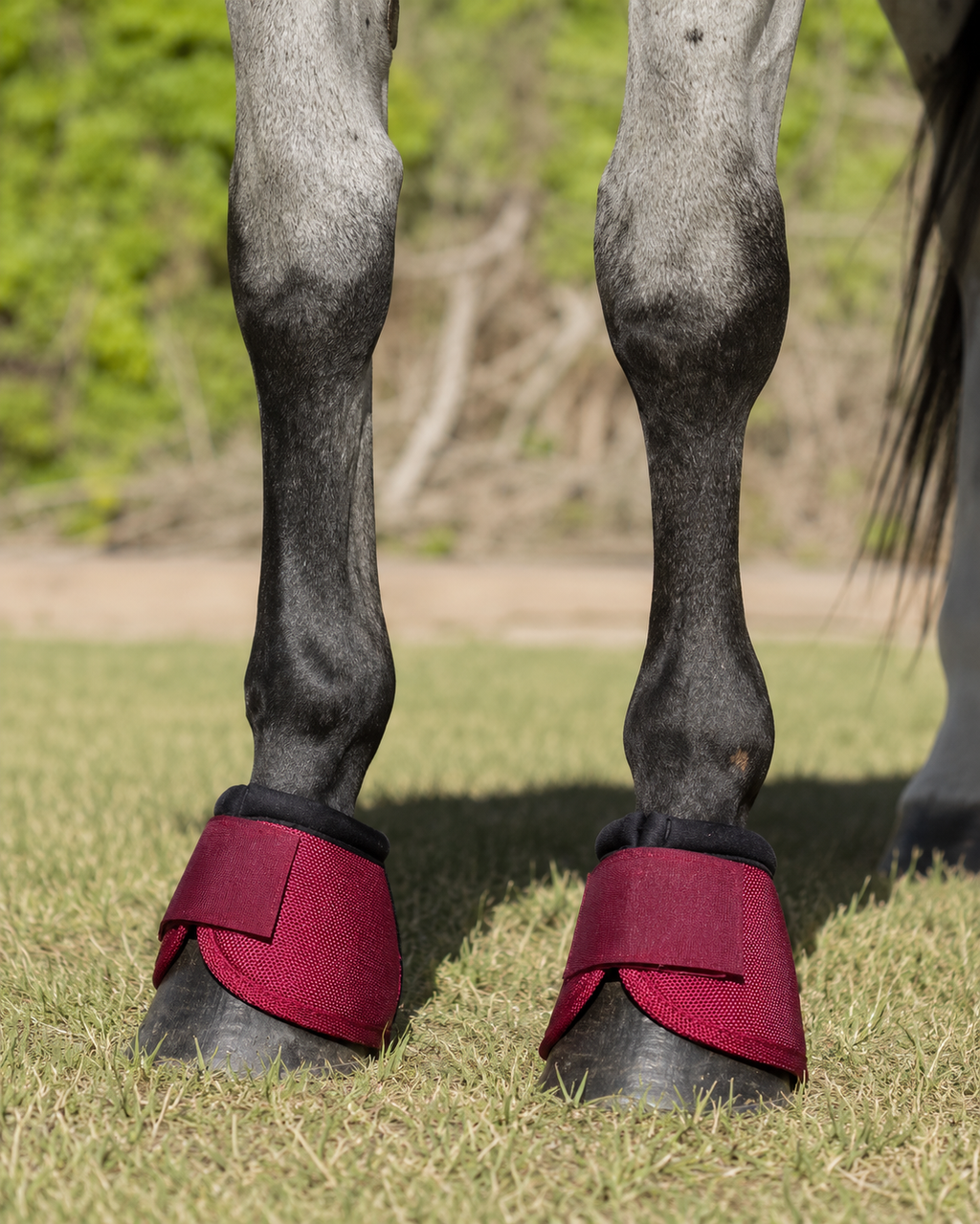 Cascos para caballo