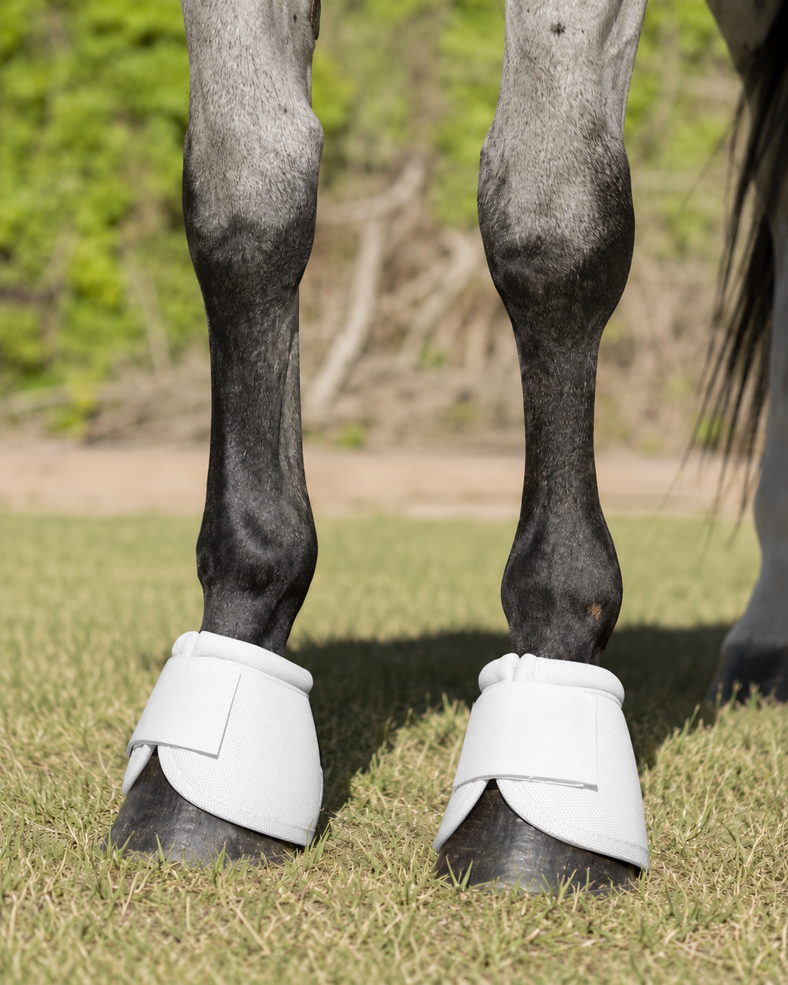 Cascos para caballo