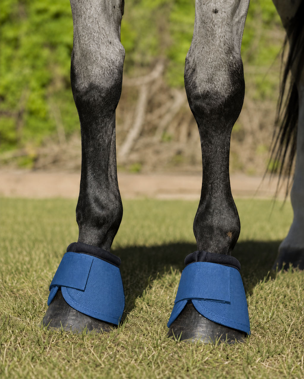 Cascos para caballo