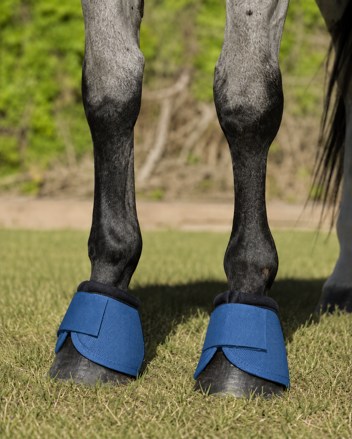 Cascos para caballo